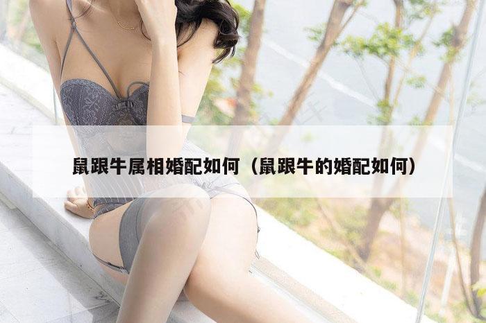 鼠跟牛属相婚配如何（鼠跟牛的婚配如何）
